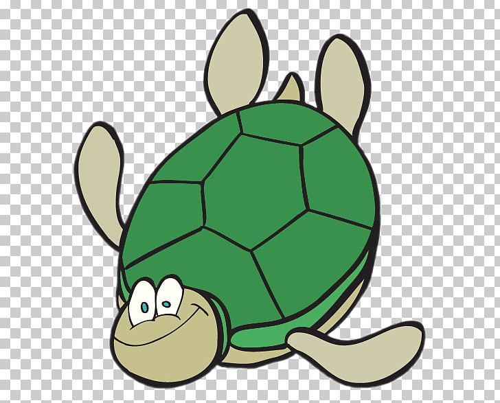 Tortoise Sea Turtle PNG, Clipart, Animals, Artwork, Ball, Fauna, Organism Free PNG Download