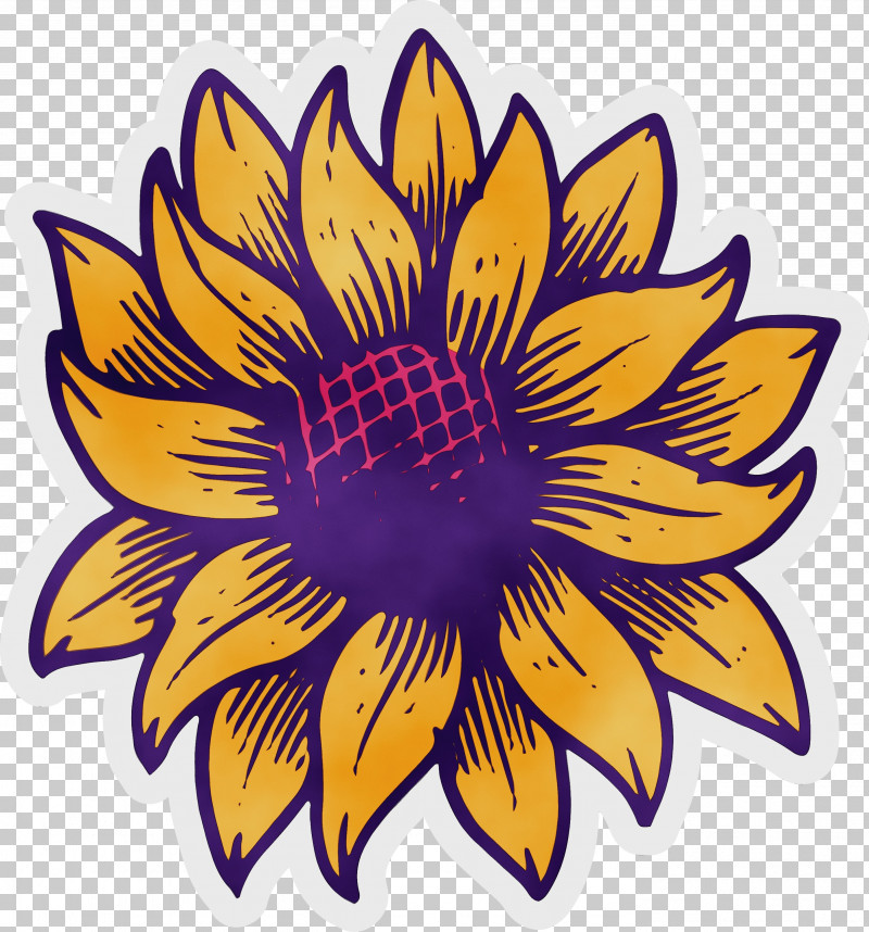 Common Sunflower Drawing Cartoon Painting PNG, Clipart, Brazil, Cartoon, Common Sunflower, Drawing, Festas Juninas Free PNG Download
