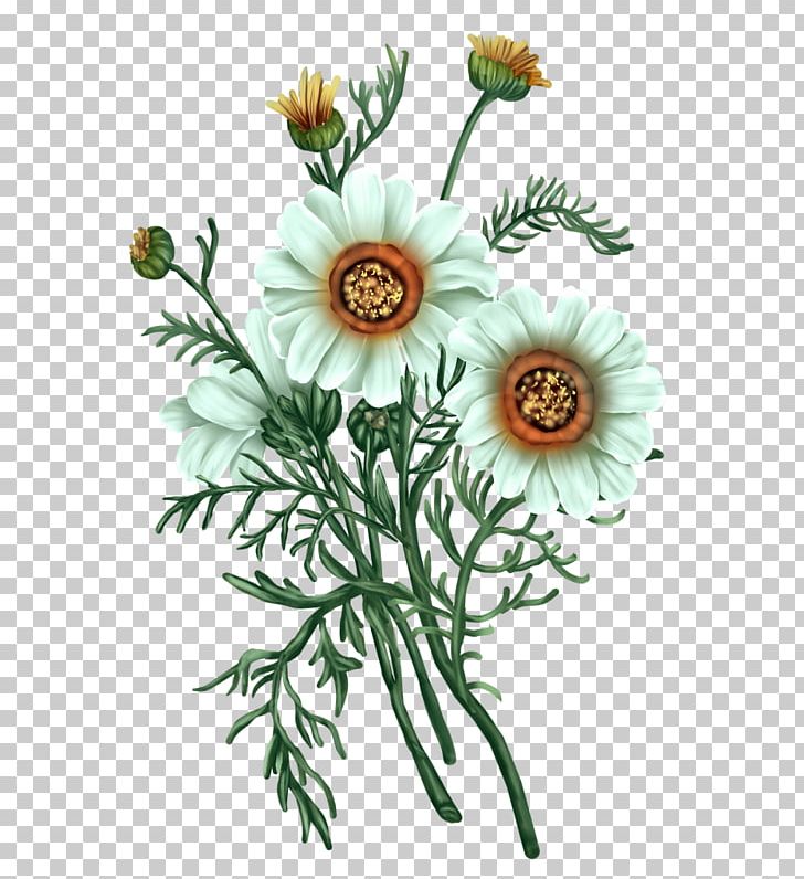 Flower Blog Tutorial Floral Design PNG, Clipart, Aster, Blog, Cari, Chamaemelum Nobile, Chrysanthemum Free PNG Download