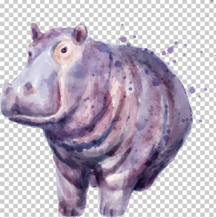 Hippopotamus Drawing Painting PNG, Clipart, Animal, Animals, Encapsulated Postscript, Fauna, Hand Free PNG Download