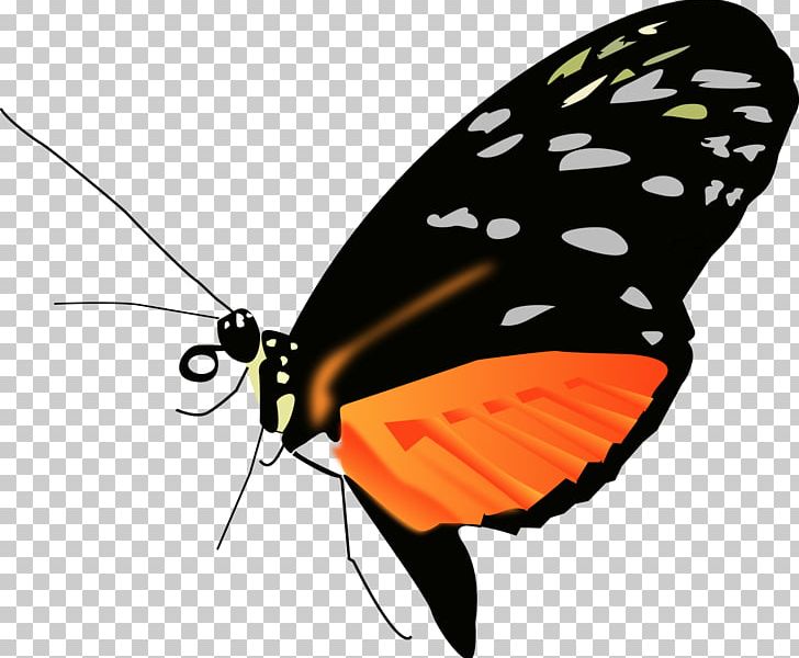Monarch Butterfly PNG, Clipart, Animal, Arthropod, Brush Footed Butterfly, Butterfly, Byte Free PNG Download