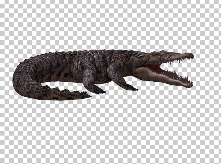 Alligators Crocodile 3D Computer Graphics PNG, Clipart, 3d Computer Graphics, Alligator, Alligators, Animal Figure, Animals Free PNG Download