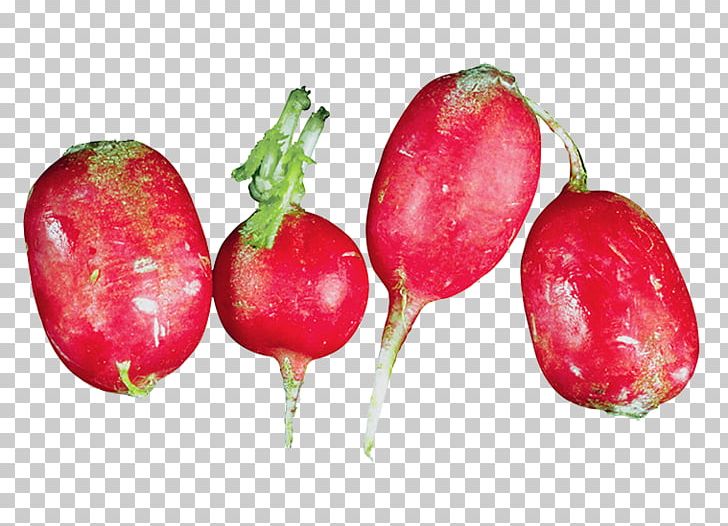Garden Radish Strawberry Vegetable Carrot PNG, Clipart, Apple, Carrot, Carrots, Diet Food, Food Free PNG Download
