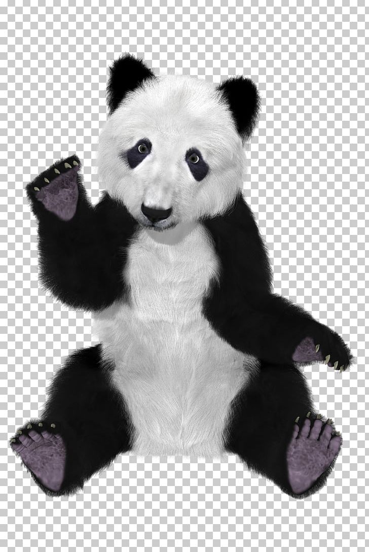 Giant Panda American Black Bear Red Panda Cuteness PNG, Clipart, Ailuropoda, American Black Bear, Animal, Bamboo, Bear Free PNG Download