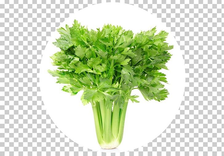 Juice Celery Eating Nutrition Vegetable PNG, Clipart, Calorie, Celery, Coriander, Cuisine, Eating Free PNG Download
