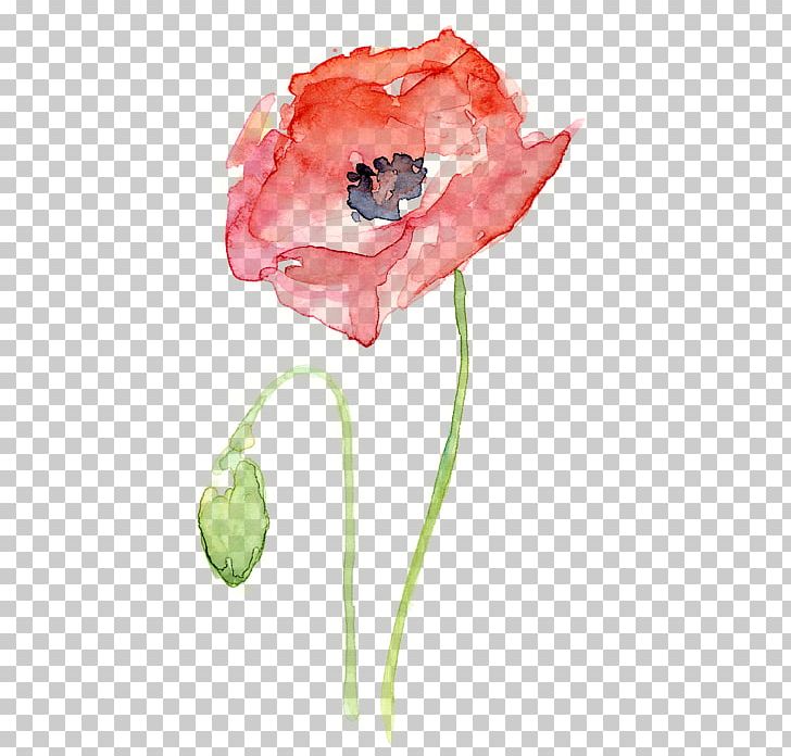 Common Poppy Watercolor Painting Printmaking PNG, Clipart, Art, Coquelicot, Drawing, Fine Art, Floral Design Free PNG Download