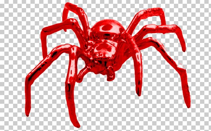 Spider-Man Red PNG, Clipart, Animal, Animation, Color, Crab, Decapoda Free PNG Download
