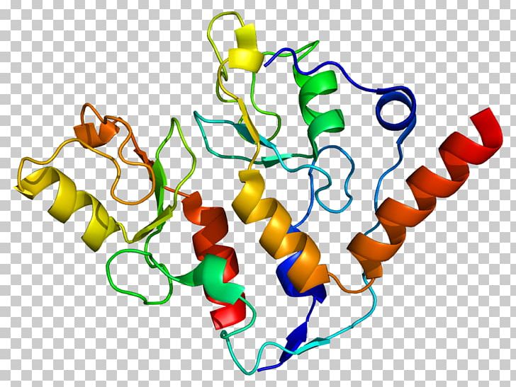 The Cancer Genome Atlas BMI1 Polycomb-group Proteins RING Finger Domain PNG, Clipart, Area, Artwork, Bmi1, Cancer, Cancer Genome Atlas Free PNG Download