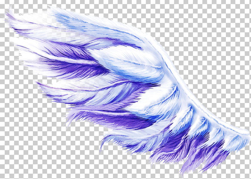 Feather PNG, Clipart, Feather, Fur, Purple, Quill, Violet Free PNG Download