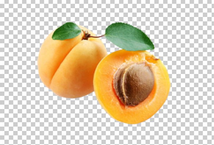 Apricot Computer Icons PNG, Clipart, Apricot, Clip Art, Computer Icons, Download, Encapsulated Postscript Free PNG Download