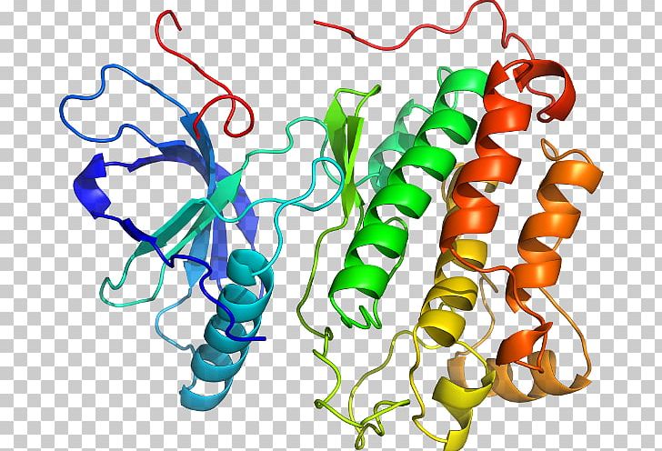 Epidermal Growth Factor Receptor Sequence PNG, Clipart, 1017 Records, Area, Art, Artwork, Chemical Compound Free PNG Download