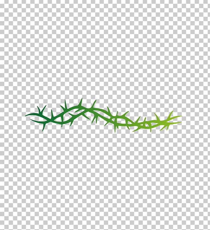 Thorns PNG, Clipart, Angle, Art, Branch, Clip Art, Crown Of Thorns Free PNG Download