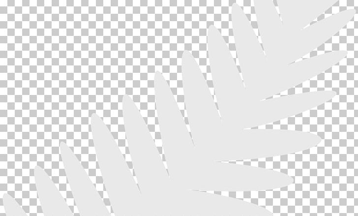 Desktop Line White Angle PNG, Clipart, Angle, Art, Black And White, Champion, Closeup Free PNG Download
