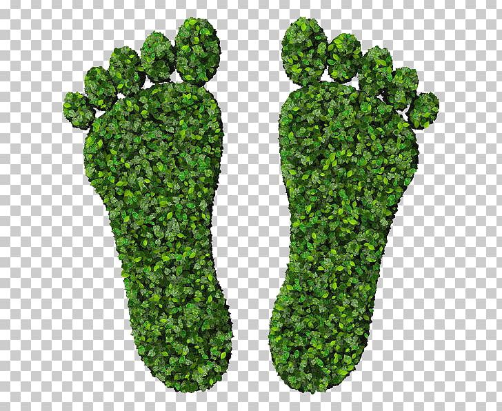 Footprint Euclidean Green Stock Photography PNG, Clipart, Bea, Carbon Footprint, Cartoon Footprints, Diagram, Digit Free PNG Download
