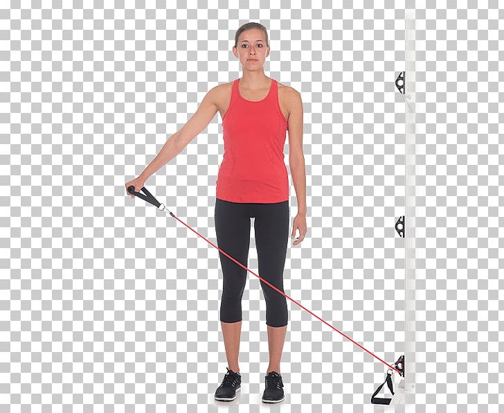 Physical Fitness Exercise Bands Strength Training Fitness Centre PNG, Clipart, Abdomen, Arm, Balance, Calf, Chest Free PNG Download
