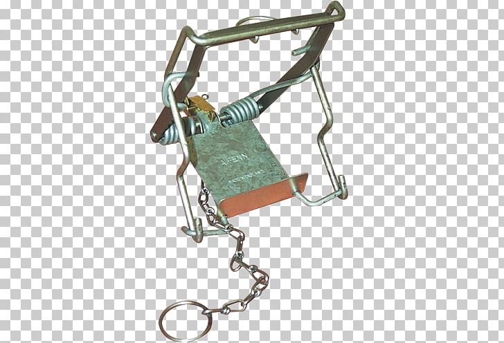 Trapping Mouse Rat Trap Squirrel PNG, Clipart, Animals, Bait, Bit, Cage, Eastern Gray Squirrel Free PNG Download