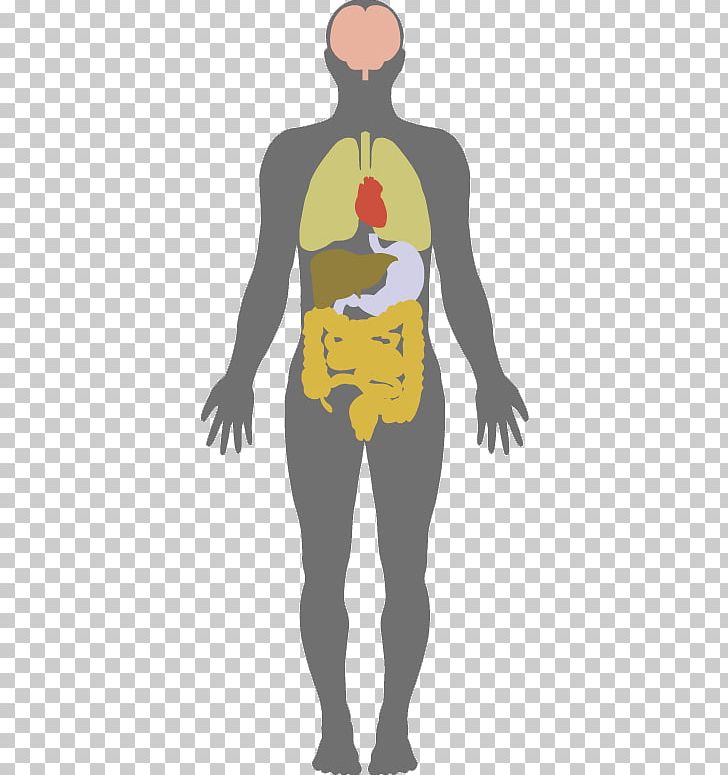 Anatoma Holstica/ Holistic Anatomy Holistic Anatomy: An Integrative Guide To The Human Body Human Anatomy PNG, Clipart, Air Pollution, Anatomy, Arm, Art, Body Free PNG Download