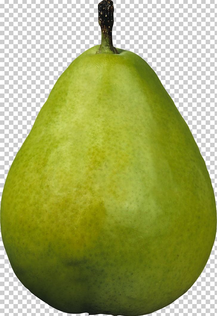 Asian Pear Williams Pear PNG, Clipart, Amygdaloideae, Art Green, Asian Pear, Clip Art, Clipping Path Free PNG Download