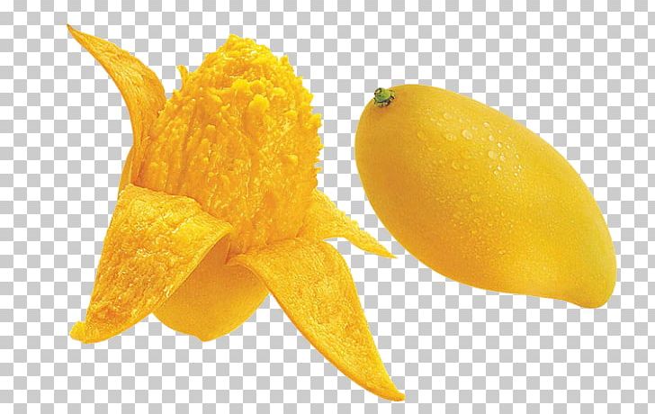 Juice Mango Seed Auglis Mangifera Indica PNG, Clipart, Amchoor, Auglis, Banana Peel, Drying, Extract Free PNG Download