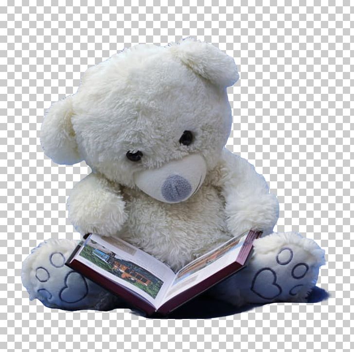Teddy Bear Stock.xchng Stuffed Toy PNG, Clipart, All Products, Bear, Bears, Child, Cute Free PNG Download