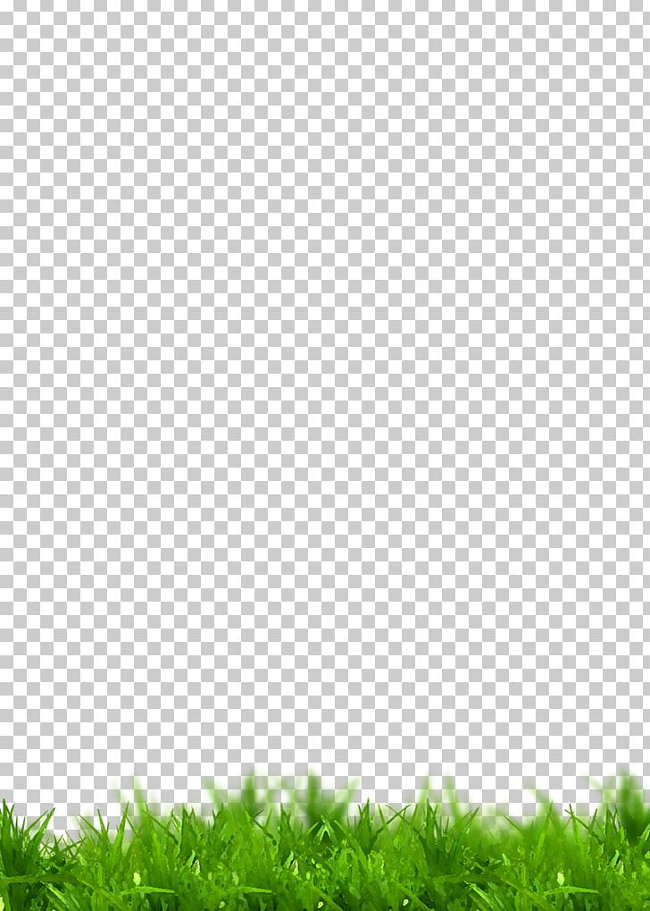 Grass PNG, Clipart, Grass, Green, Line, Meadow, Other Free PNG Download
