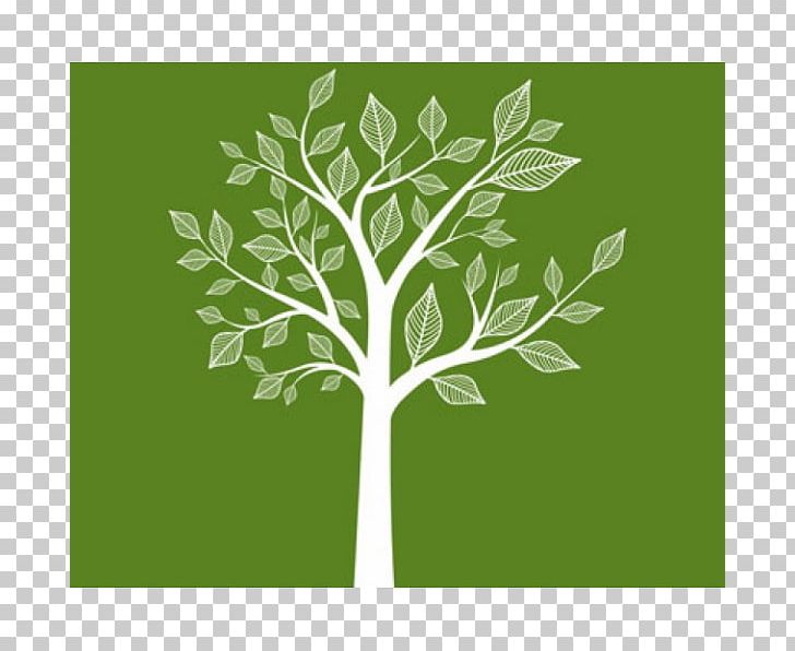 Stock Photography PNG, Clipart, Branch, Business, Family Tree, Grass, Health Fitness And Wellness Free PNG Download