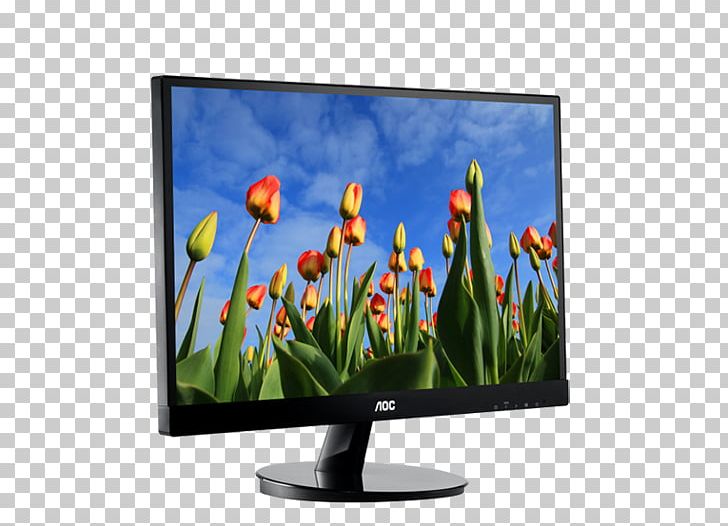 IPS Panel Computer Monitors AOC International AOC I-69VM Liquid-crystal Display PNG, Clipart, 1080p, Computer Monitor Accessory, Display Advertising, Electronic Device, Flower Free PNG Download