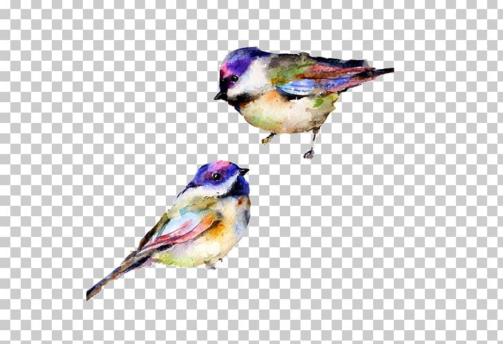 Watercolor Painting Art Drawing PNG, Clipart, Animals, Art, Beak, Bird, Birds Free PNG Download