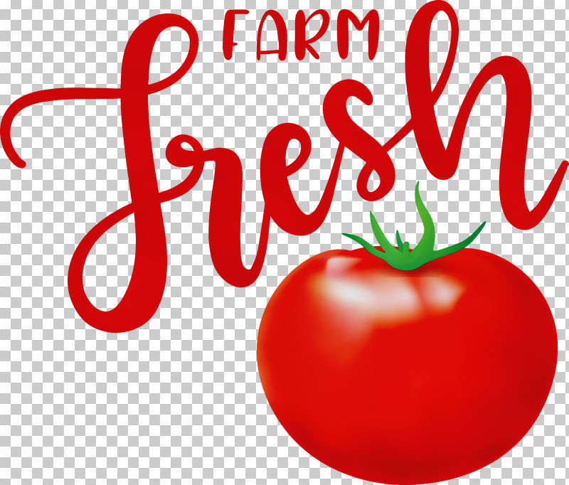Tomato PNG, Clipart, Apple, Bush Tomato, Datterino Tomato, Farm, Farm Fresh Free PNG Download