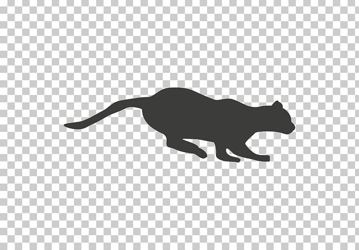 Cat Kangaroo Animal Tail PNG, Clipart, Animal, Animal Figure, Animals, Big Cat, Big Cats Free PNG Download
