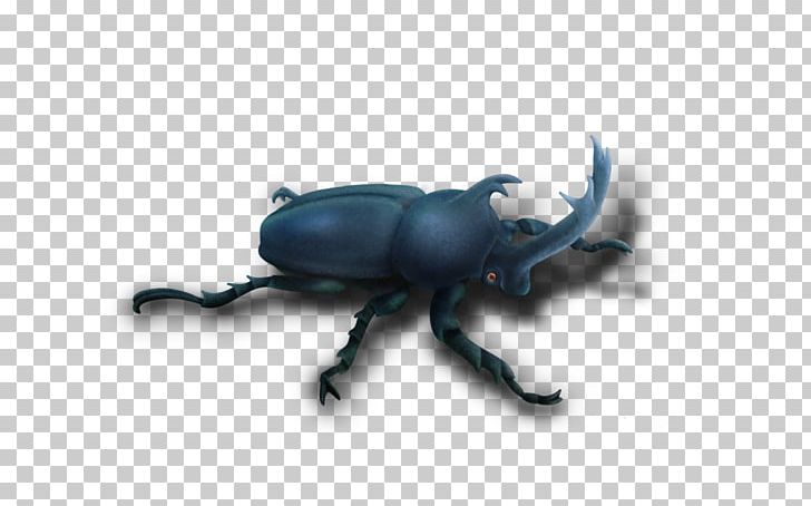 Dung Beetle Weevil Scarab Pest PNG, Clipart, Arthropod, Beetle, Dung Beetle, Insect, Invertebrate Free PNG Download