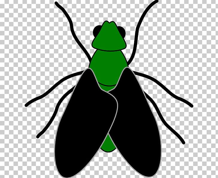 Fly Free Content Website PNG, Clipart, Artwork, Beetle, Black Fly, Cartoon, Cartoon Picture Of A Fly Free PNG Download