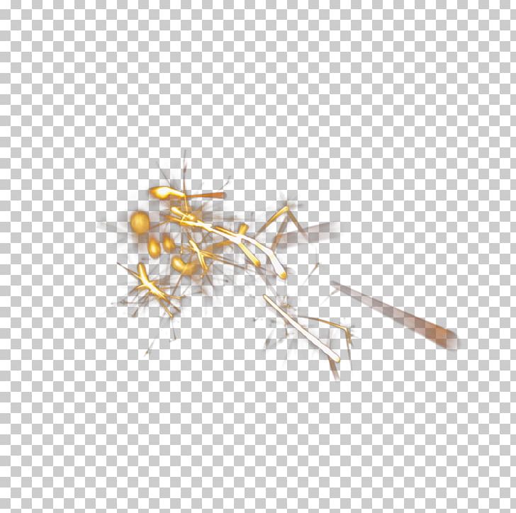 Light Transparency And Translucency Color PNG, Clipart, Art, Bloom, Branch, Color, Computer Icons Free PNG Download