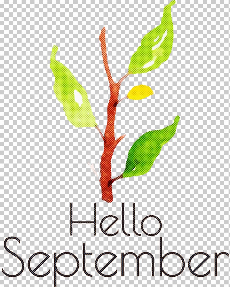 Hello September September PNG, Clipart, Biology, Hello September, Leaf, Meter, Plant Free PNG Download