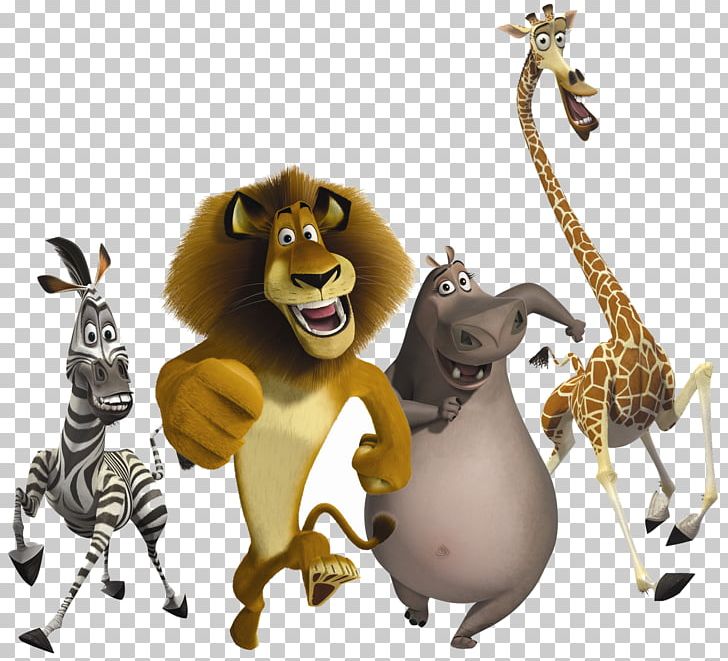 Madagascar DreamWorks Animation Film High-definition Video PNG, Clipart, Ani, Carnivoran, Cartoon, Cat Like Mammal, Desktop Wallpaper Free PNG Download