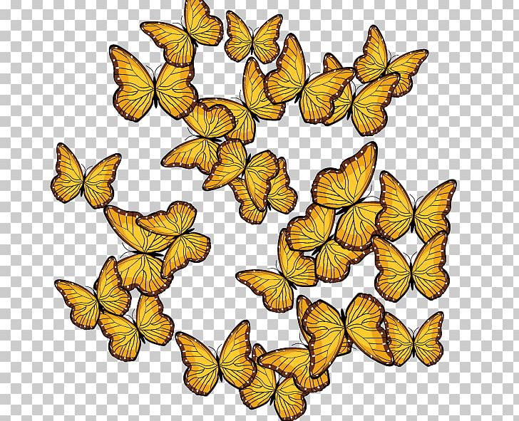Monarch Butterfly Insect Photography PNG, Clipart, Animal, Brush Footed Butterfly, Butterflies And Moths, Butterfly, Drawing Free PNG Download