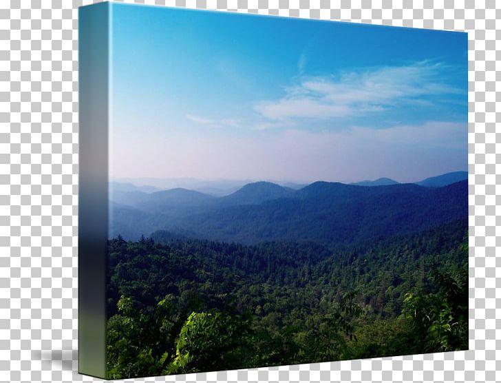 Mount Scenery Pirate Kind Forest Art PNG, Clipart, Art, Biome, Blue Ridge Mountains, Canvas, Forest Free PNG Download