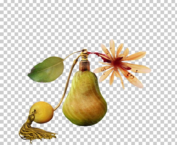 Pear Perfume PNG, Clipart, Blog, Bulb, Centerblog, Charm, Chinese New Year Free PNG Download