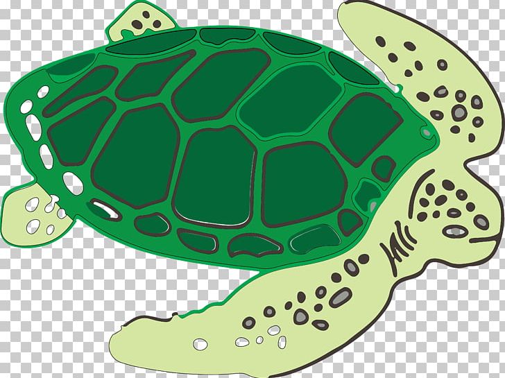 Sea Turtle Tortoise PNG, Clipart, Animals, Carp, Cartoon Fish, Encapsulated Postscript, Fauna Free PNG Download