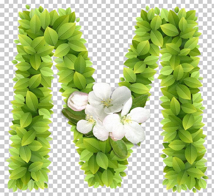 Alphabet Letter M PNG, Clipart, Alphabet, Cut Flowers, Flower, French Alphabet, Grass Free PNG Download