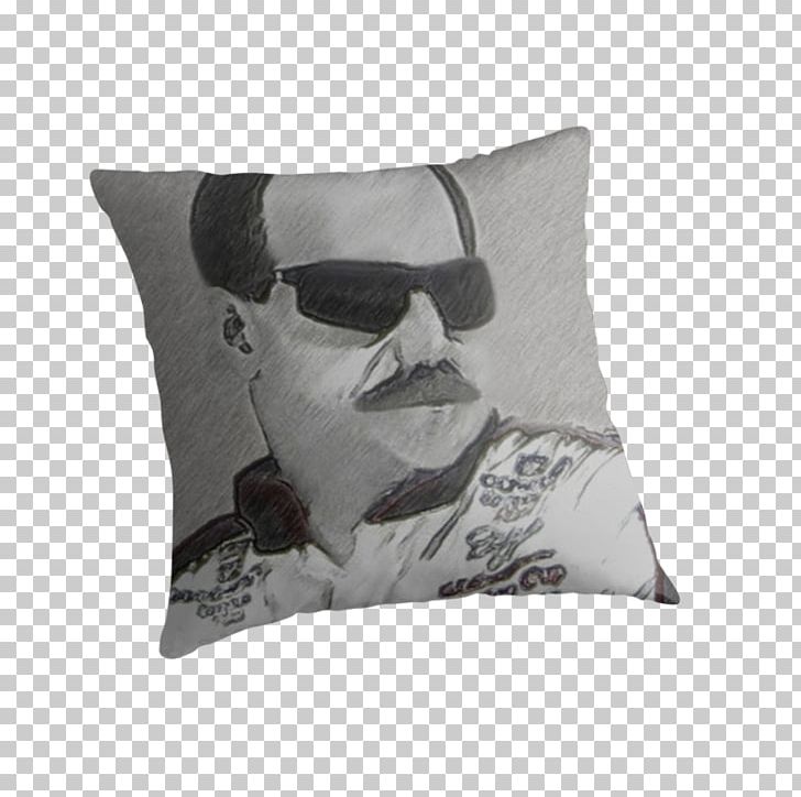 Cushion Throw Pillows PNG, Clipart, Cushion, Dale Earnhardt, Pillow, Throw Pillow, Throw Pillows Free PNG Download
