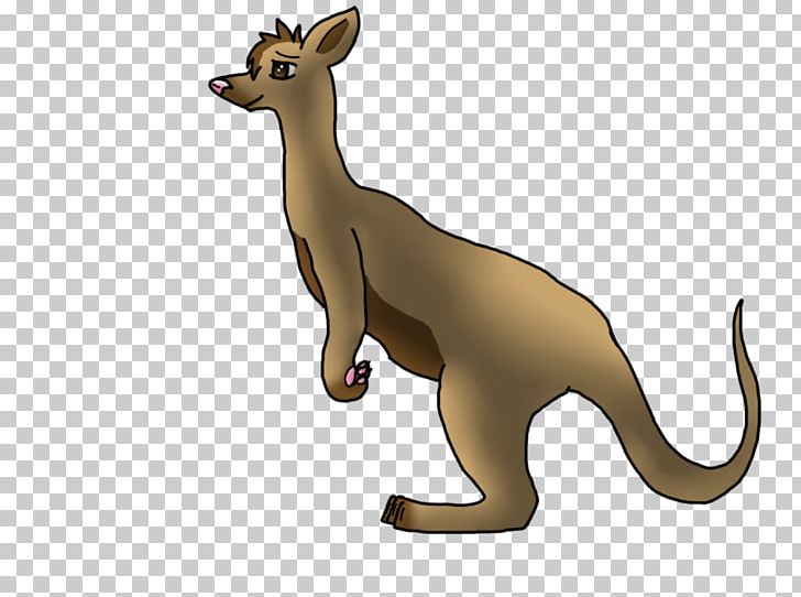 Kangaroo Drawing Macropodidae Photography PNG, Clipart, Animal, Animal Figure, Animals, Art, Avialae Free PNG Download