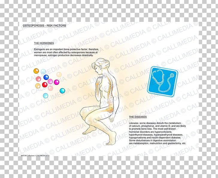 Homo Sapiens Human Behavior Logo Material PNG, Clipart, Area, Art, Behavior, Diagram, Hand Free PNG Download