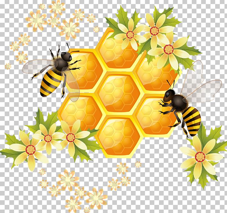 Honey Bee Honeycomb Illustration PNG, Clipart, Animal, Animals, Arthropod, Bee, Beehive Free PNG Download