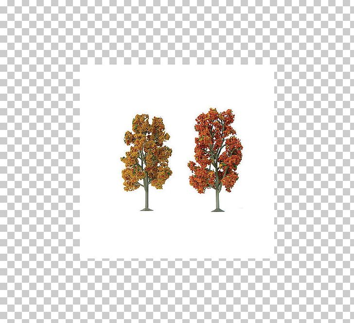 O Scale Tree American Sycamore Pine Autumn PNG, Clipart, 148 Scale, American Sycamore, Autumn, Deciduous, Fall Free PNG Download