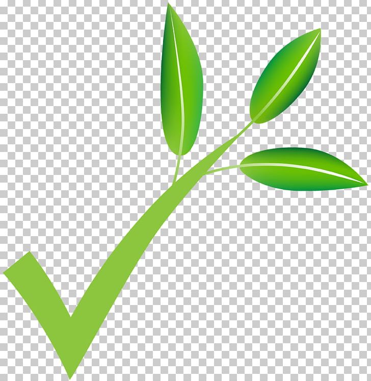 Patate E Cipolle Agriveneto Spa Izambane Plant Stem Vegetable PNG, Clipart, Checkbox, Flower, Google Play, Grass, Grass Family Free PNG Download