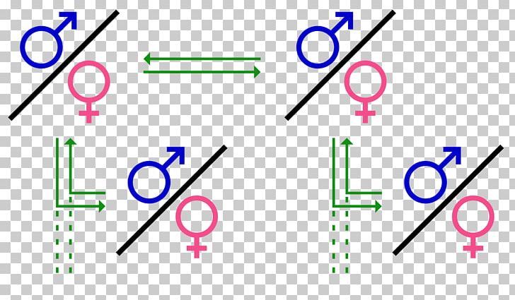 Polygamy Group Marriage Monogamy Gender Symbol PNG, Clipart, Angle, Area, Blue, Diagram, Femalesymbol Free PNG Download
