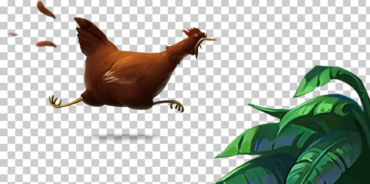 Rooster Chicken As Food Plinga Game PNG, Clipart, Animals, Barn, Beak, Bird, Carnivoran Free PNG Download