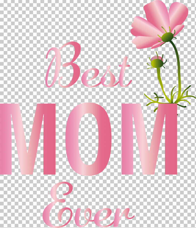 Floral Design PNG, Clipart, Biology, Cut Flowers, Floral Design, Flower, Greeting Free PNG Download