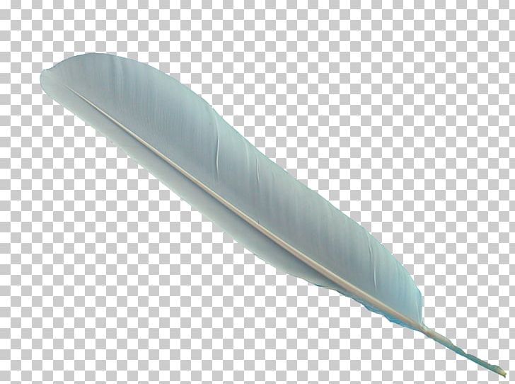 Bird Feather Archaeopteryx PNG, Clipart, Animals, Archaeopteryx, Bird, Clip Art, Color Free PNG Download